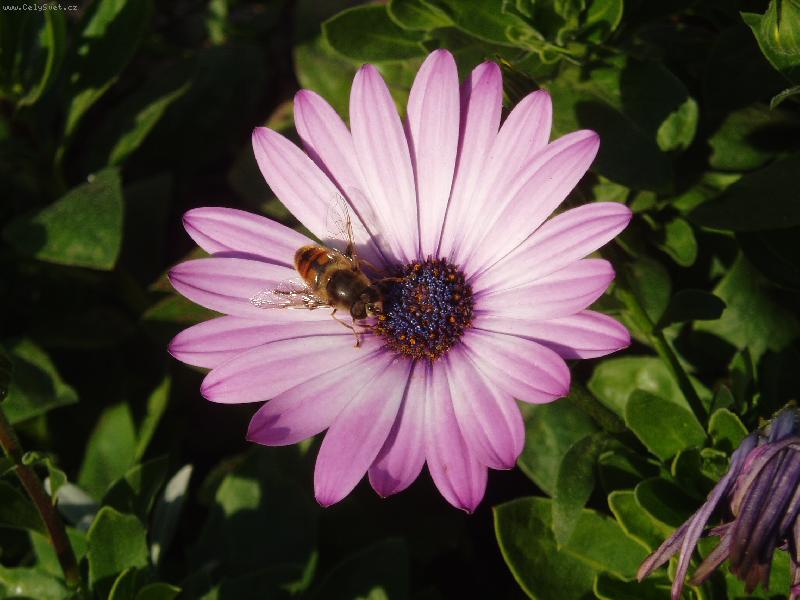 Foto: Piln� v�elka