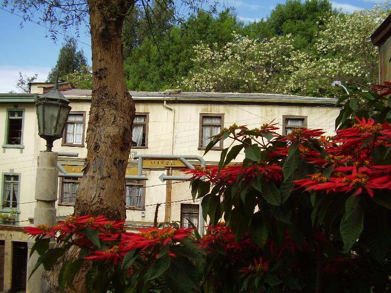 Foto: v�no�n� hv�zda ve Valparaisu