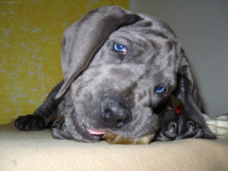 Foto: Nejroztomilej�� �t�n�-Na�e Meggie, kdy� jsme si j� p�ivezli