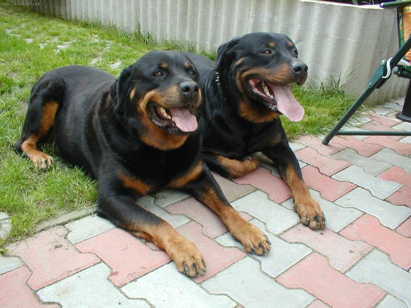 Foto: pohoda-Argo + Kora