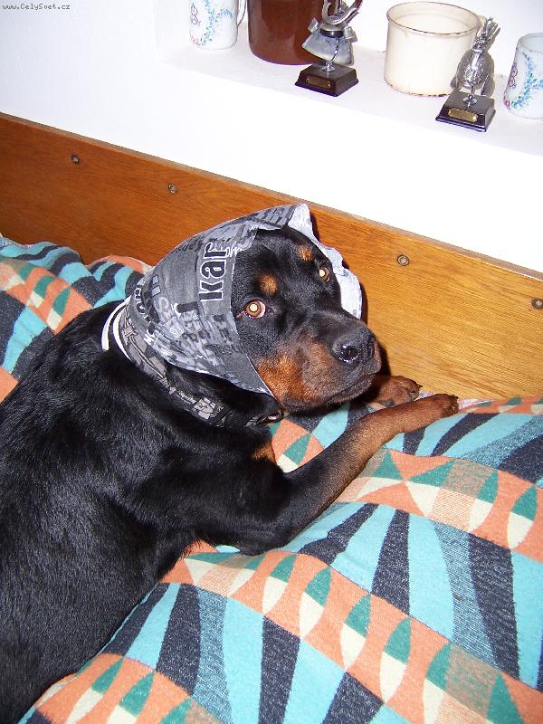 Foto: Babi�ko,pro� m� tak velk� o�i?