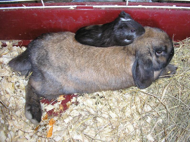 Foto: Odpo�inek-Ve dvou se to l�pe odpo��v�