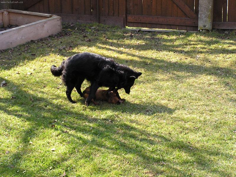 Foto: par�dn� bitka