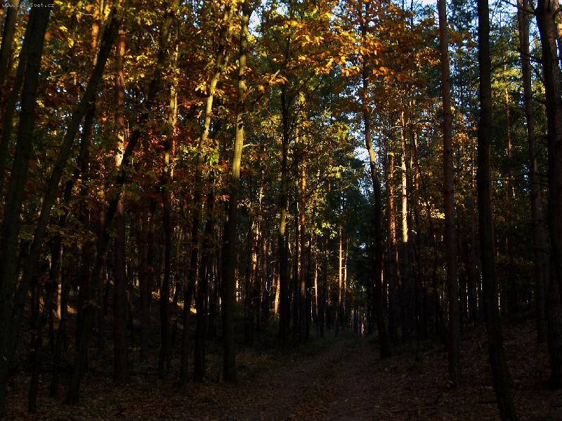 Foto: Les-Aktu�ln�...