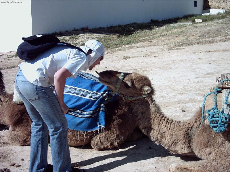 Foto: Bude ta pusa nebo ne?