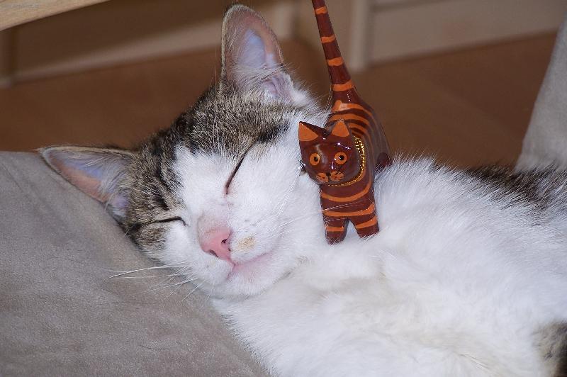 Foto: A fajn� mi je...-a fajne mi je...