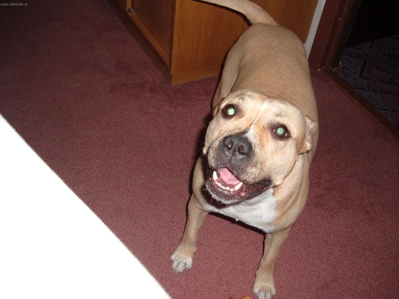 Foto: RAK�A-Usm�v pros�m