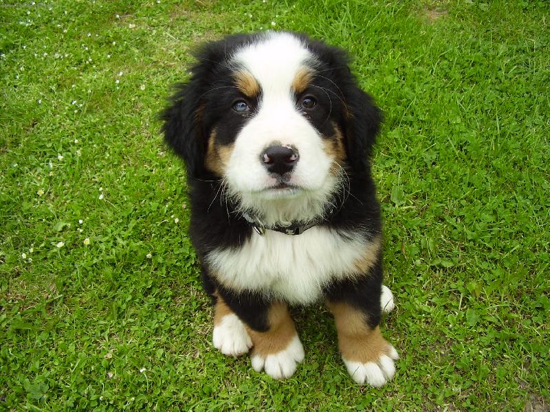 Foto: Fredy-Na�e nej ....