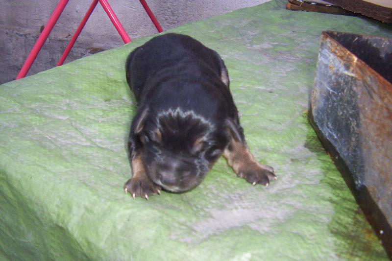 Foto: �erstv� narozen�...