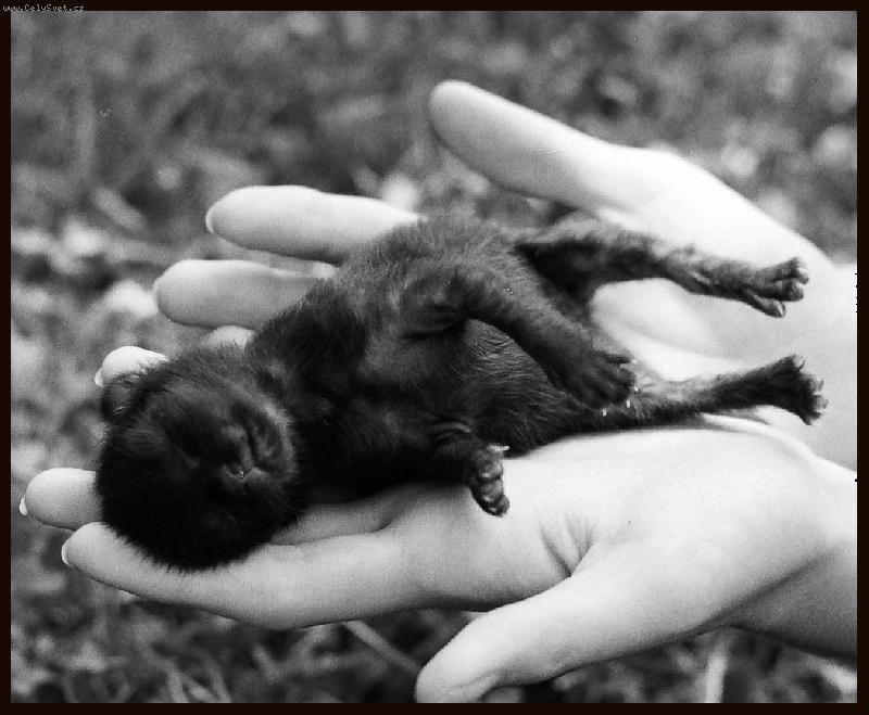 Foto: T�den na sv�t�