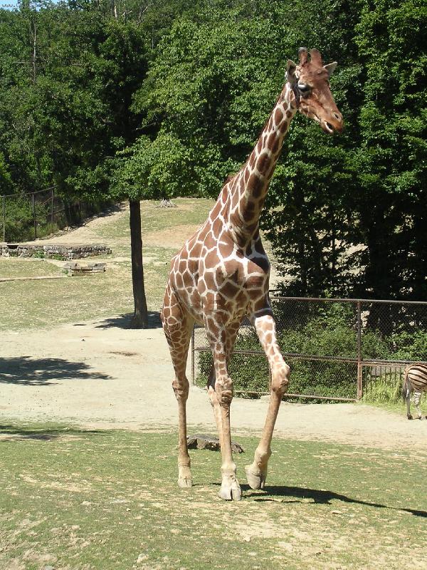 Foto: Do je dlouh�n