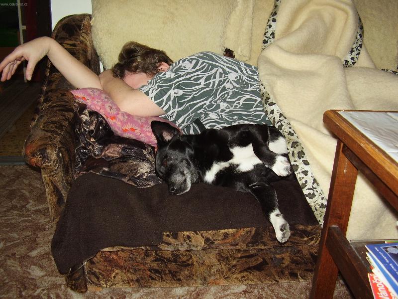 Foto: Nejlep�� pel�ek