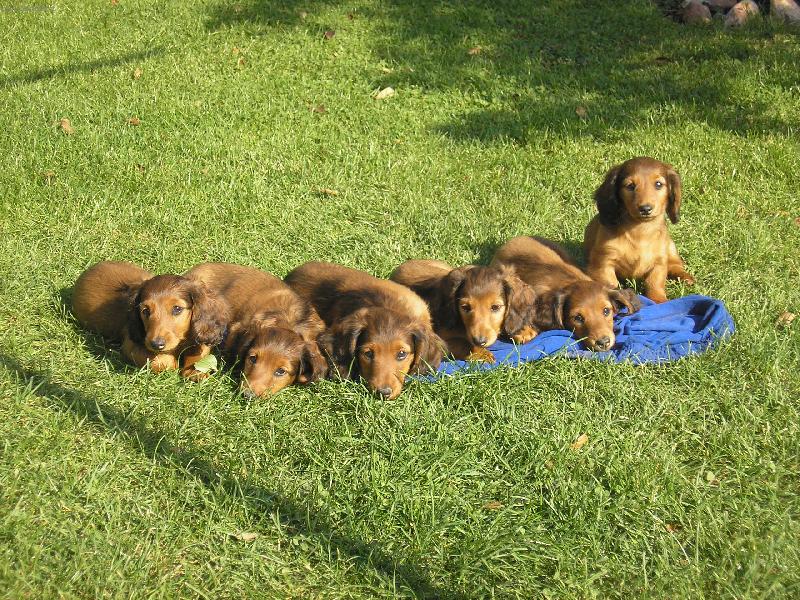 Foto: Jezev��ci-No nato �e jsme m�li b�t 3 je to �sp�ch n�?