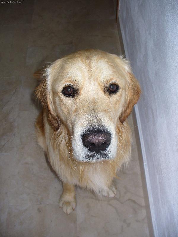 Foto: Co ten pohled?-B�dinek