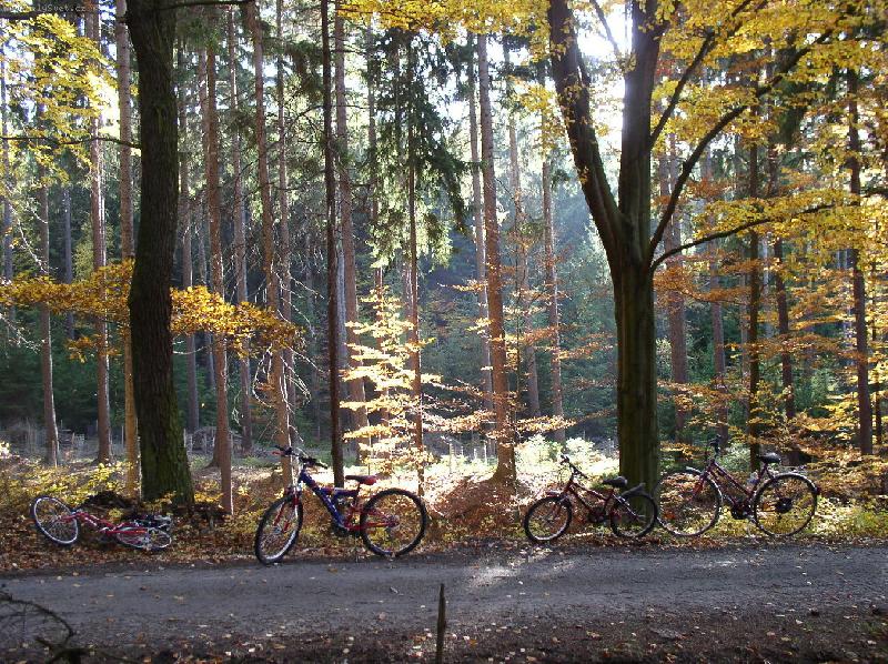 Foto: Hur� do lesa!-Podzimn� v�let na kolech