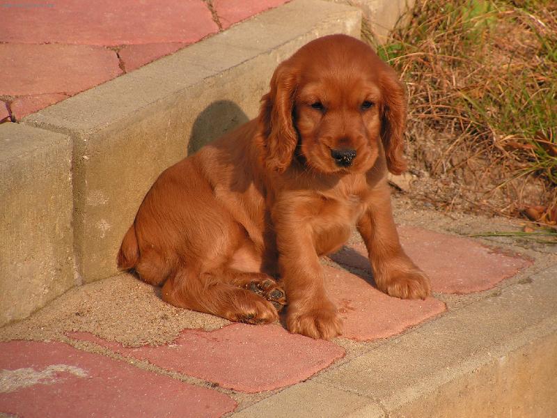 Foto: Na�e Jul�a