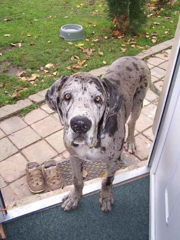 Foto: IGOREK-D�te mi n�co k j�dlu???