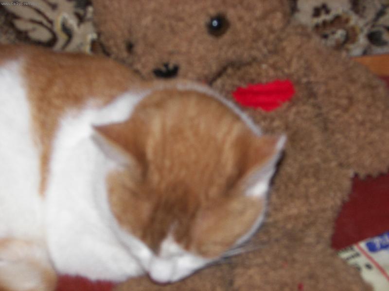 Foto: Ve dvou se n�m nejl�p sp� :-)