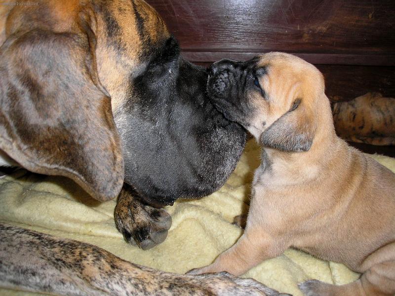 Foto: U m�my je nejl�p:o)