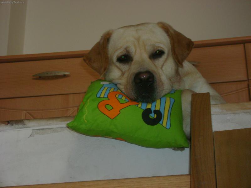 Foto: To �ekani m� unavuje....