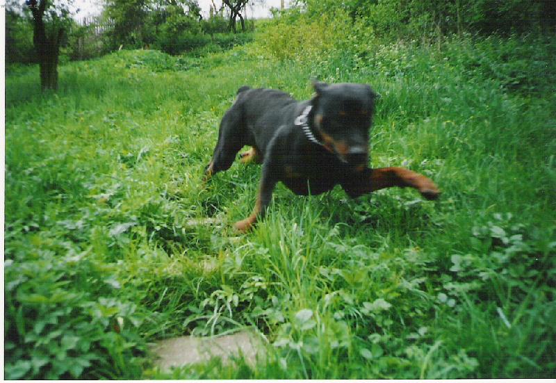 Foto: Bond-Hur� akce!!!