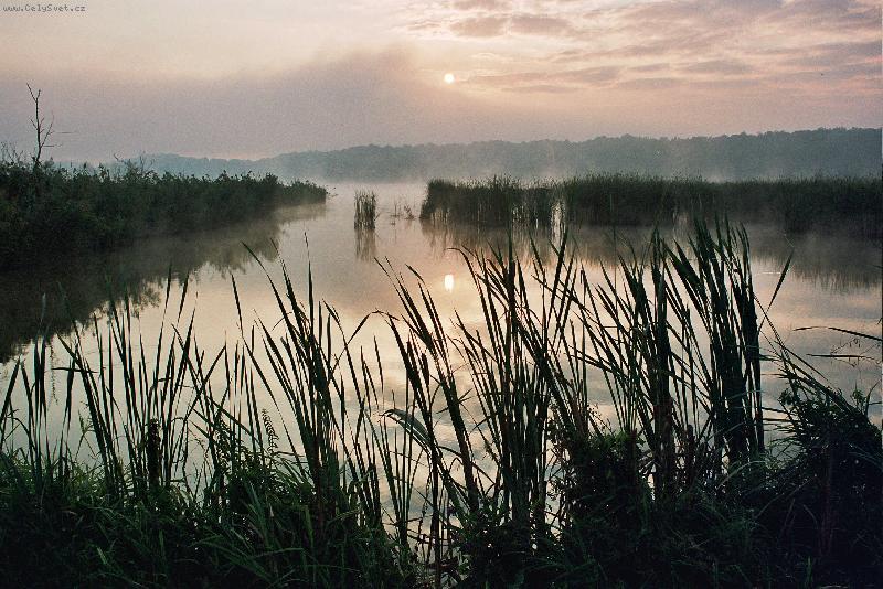 Foto: Mlhav� sv�t�n� v Pood��