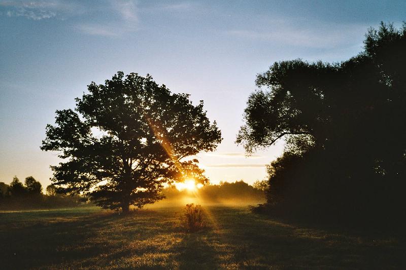 Foto: Probuzen� dne-N�dhern� podzimn� r�no v oparu mlhy.