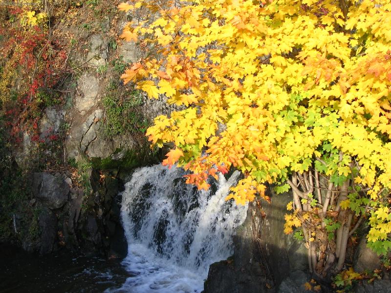 Foto: podzime, podzime...-pozdrav od n�s