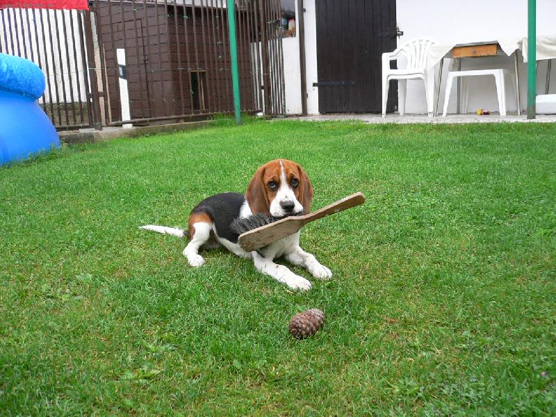 Foto: Teddy na zahrad� !!