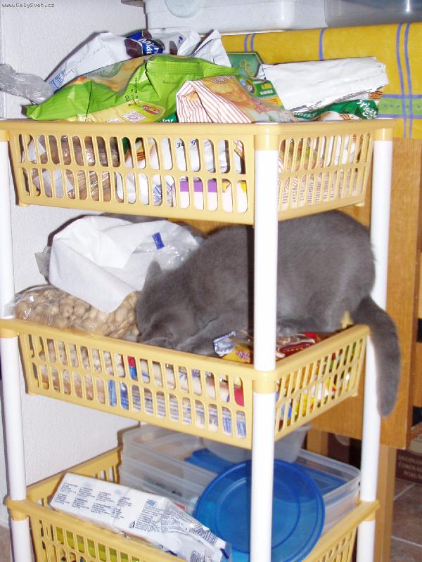 Foto: tady n�kde to pr� v�echno je...sam� sladkost