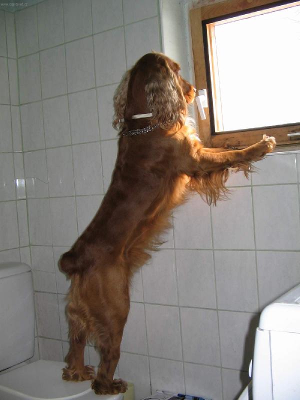 Foto: V�hled-- zase m� nechali doma...