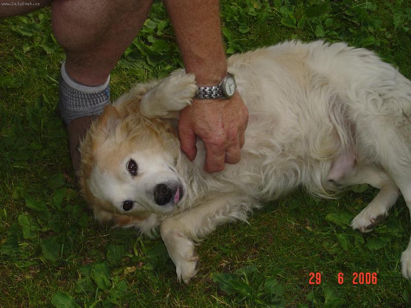 Foto: Fil�pek-Fil�pek na zahr�dce