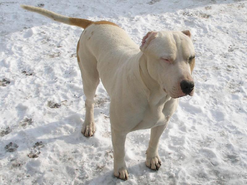 Foto: ...Nikou�ek...