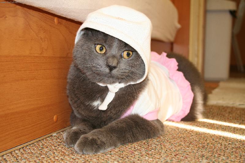 Foto: Voj�ulka...-U� nejsem miminko...