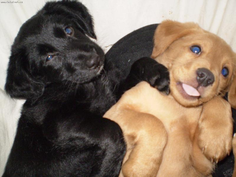 Foto: M�me se r�di