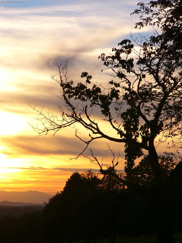 Foto: den jde sp�t