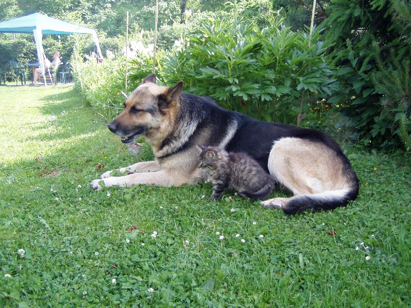 Foto: Nejlep�� kamar�di