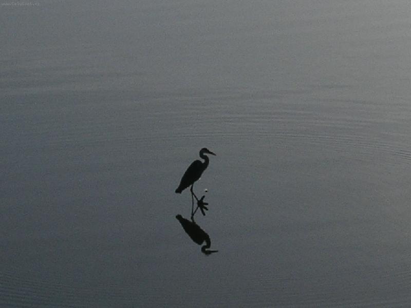 Foto: Tibera-Pt�k na Tibe�e