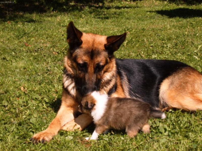 Foto: Mohu proj�t,pros�m.