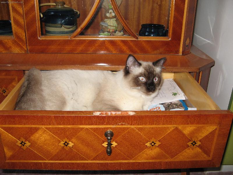 Foto: kde se mi nejv�ce l�b�-n� Jonat�nek odpo��v�