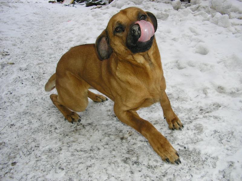 Foto: To byla ale dobrota...