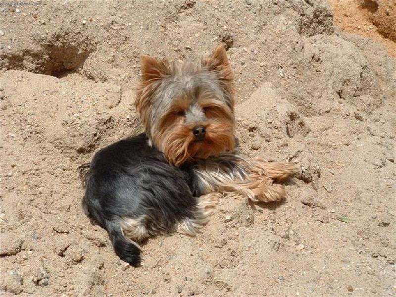 Foto: Deny-Sam� p�sek, voda ��dn� ...