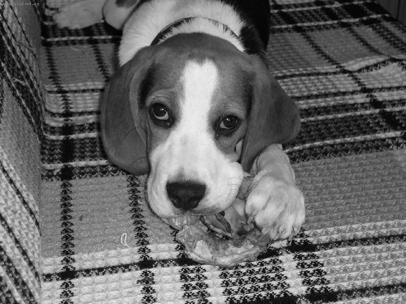 Foto: Monty-odpo�inek