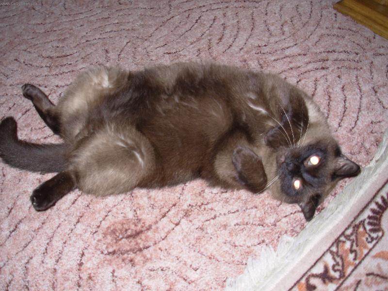 Foto: Fil�pek-Posledn� fote�ka,moc se n�m st�sk�!