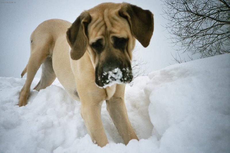 Foto: Terezka na hor�ch