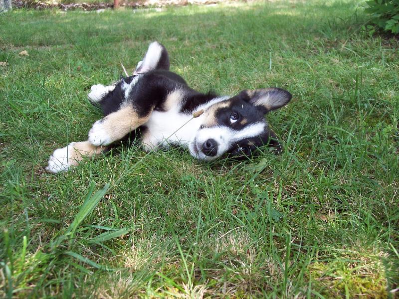 Foto: PERFEKTN� DEN