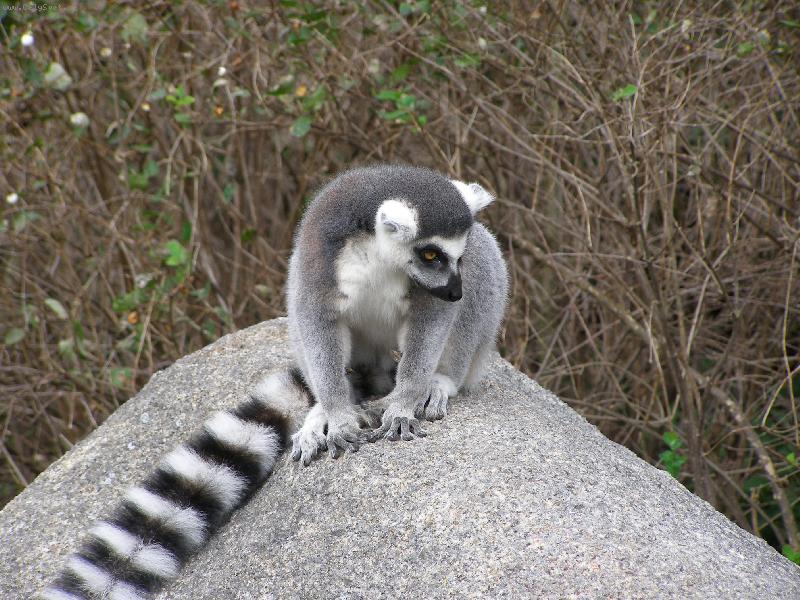 Foto: Neodolateln�