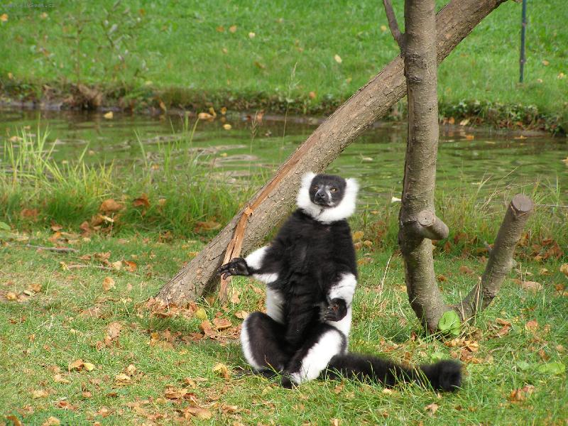 Foto: Sed�m, hur�