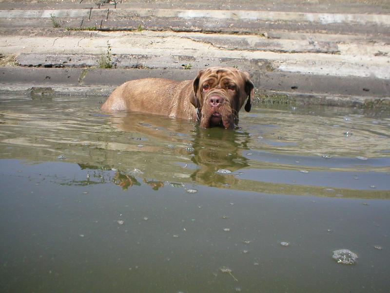 Foto: vodu m�m r�da