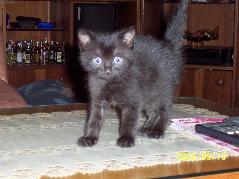 Foto: St�ap��ek